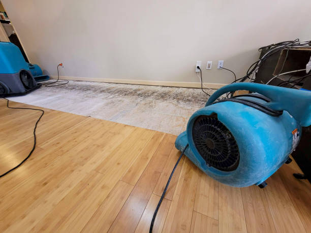 Reliable Basement Flood Cleanup contractor in Ledgewood, NJ by Hirex Water Damage