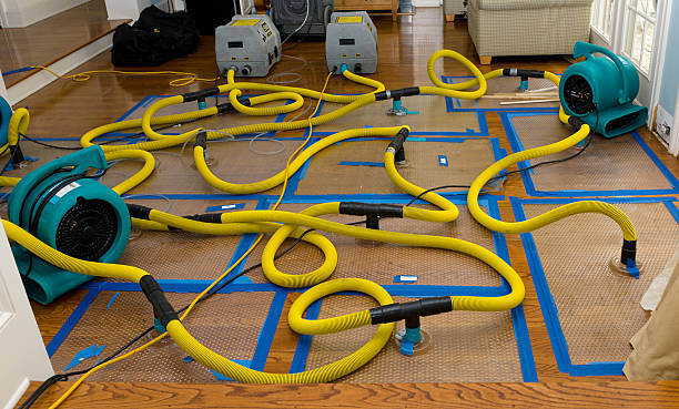 Professional Basement Flood Cleanup technician working in Ledgewood, NJ